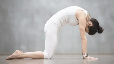 Easy types of yoga Hatha yoha