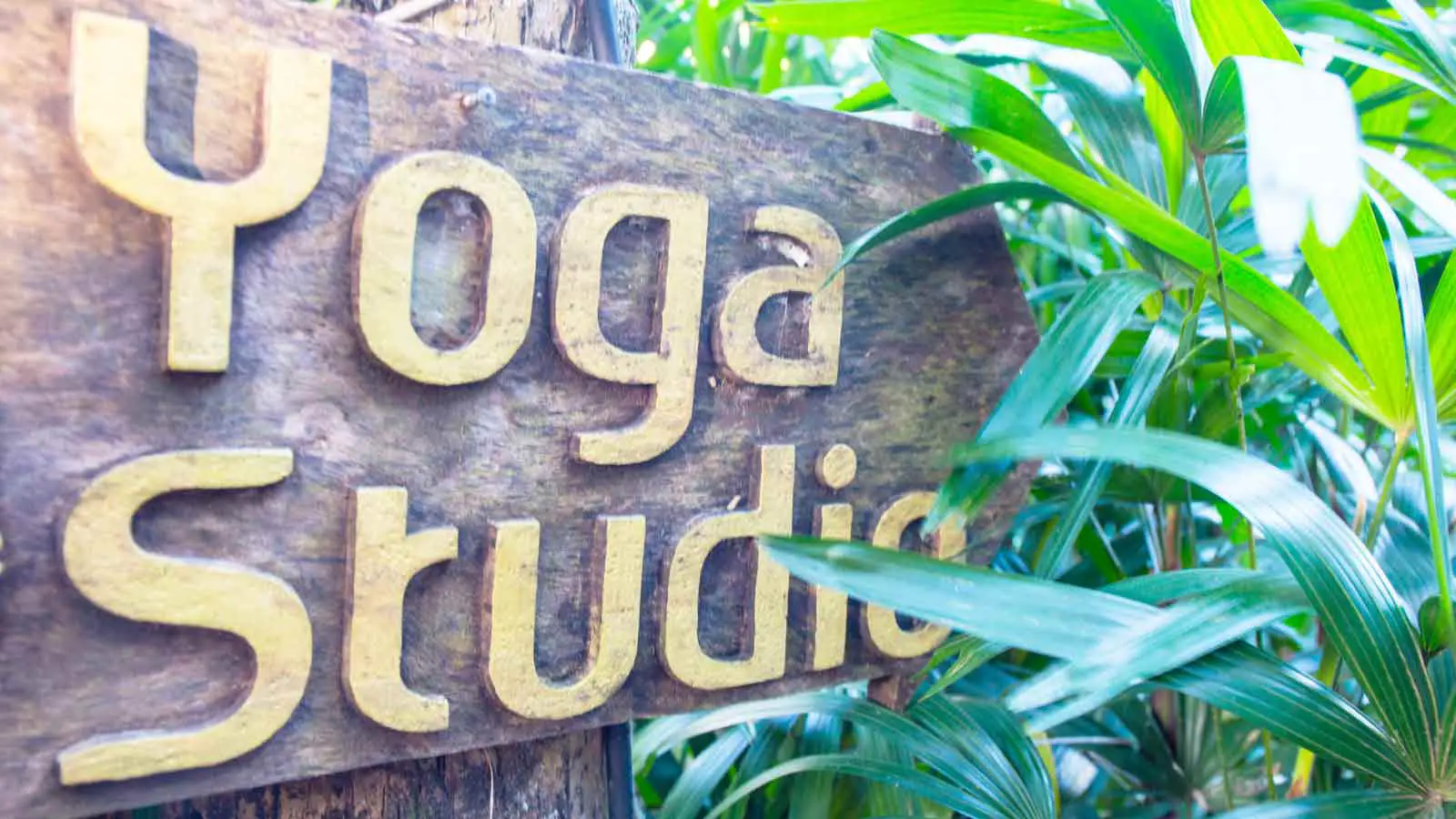 How to choose yoga studio
